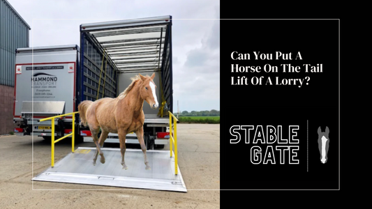 Can You Put A Horse On The Tail Lift Of A Lorry?