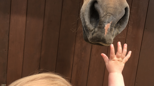 Do you not feel guilty spending time with a horse when you have a baby at home?