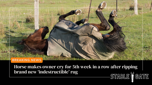 Horse makes owner cry for 5th week in a row after ripping brand new ‘indestructible’ rug